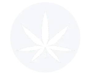 thailand-cannabis